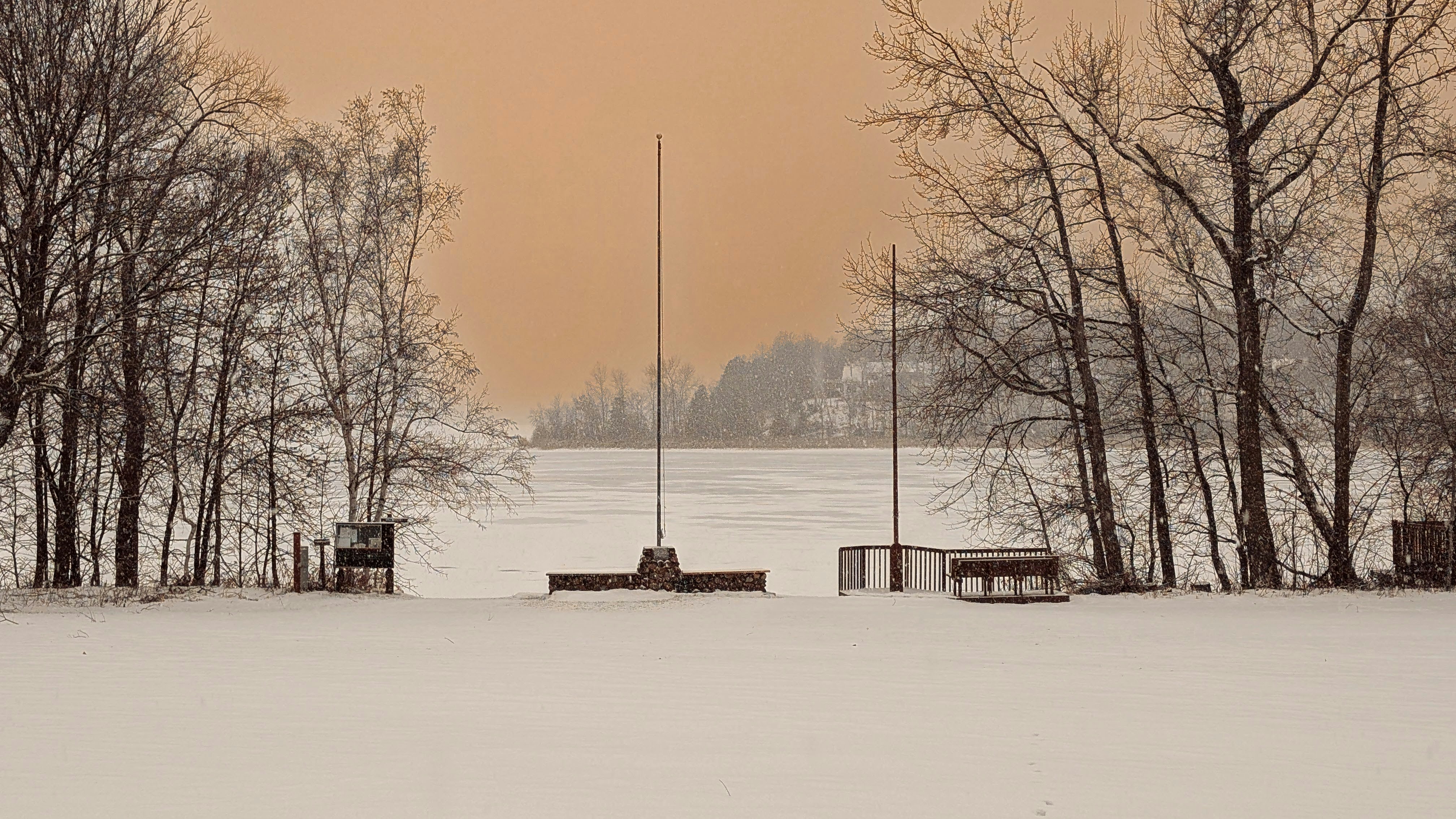 Bringing Summer Alive- in the Midst of Winter