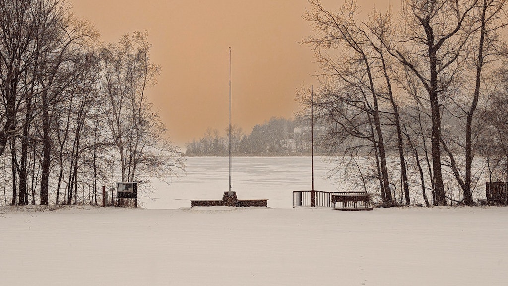 Bringing Summer Alive- in the Midst of Winter