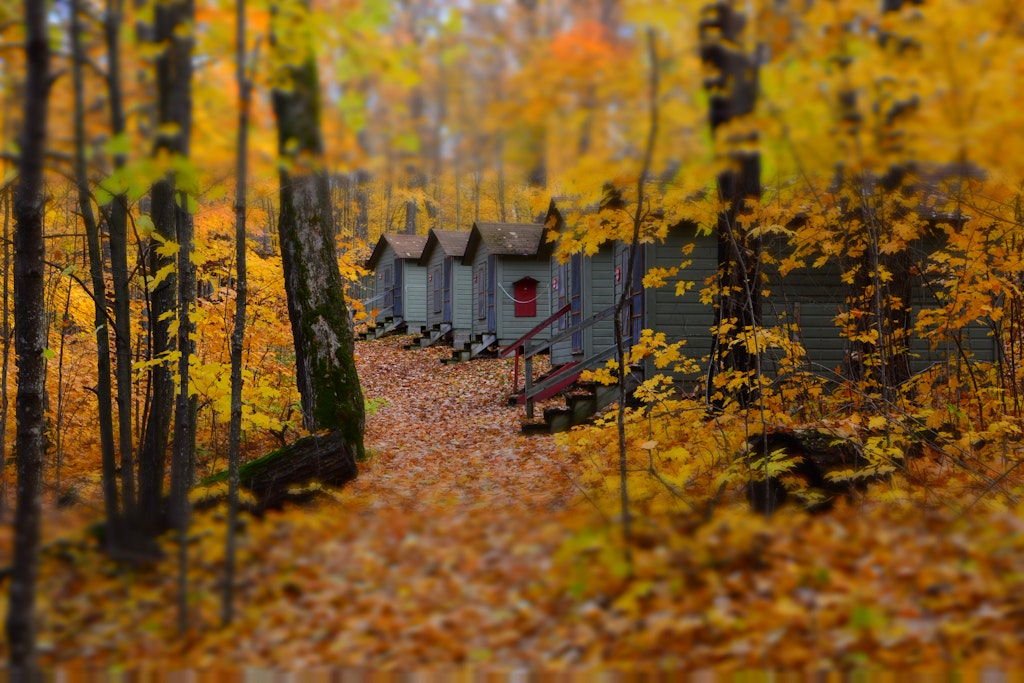 Fall at Camp - Counting Down