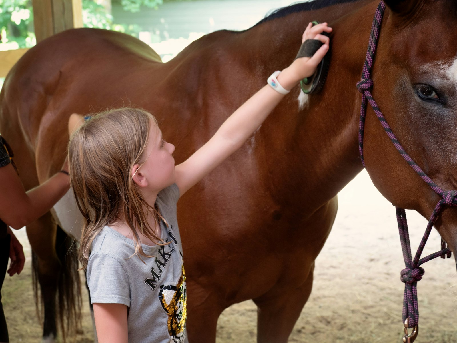 Dad, what did you do in the Pandemic?