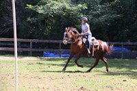 Alabama girls christian horseback camp.jpg?ixlib=rails 2.1