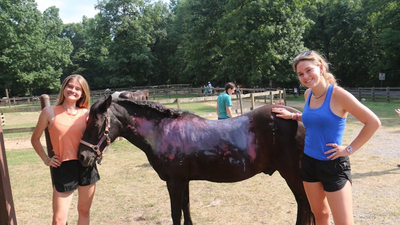 Barn staff painting horses camp counselors .jpeg?ixlib=rails 2.1