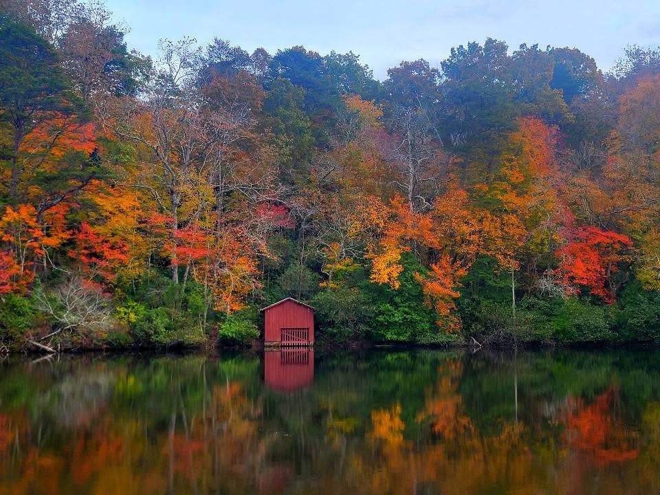 What have we been doing this fall?