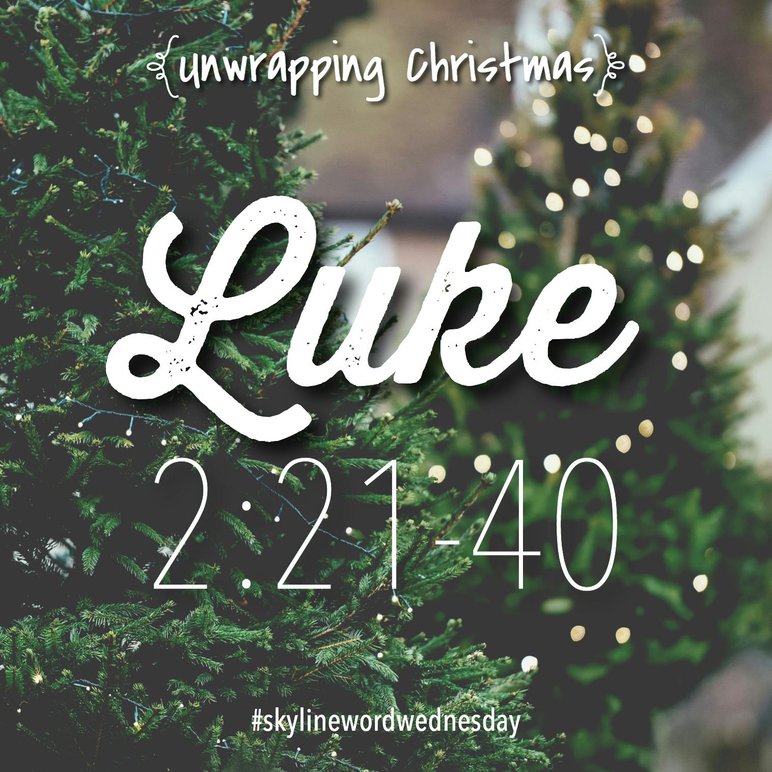 Unwrapping Christmas// Week 3