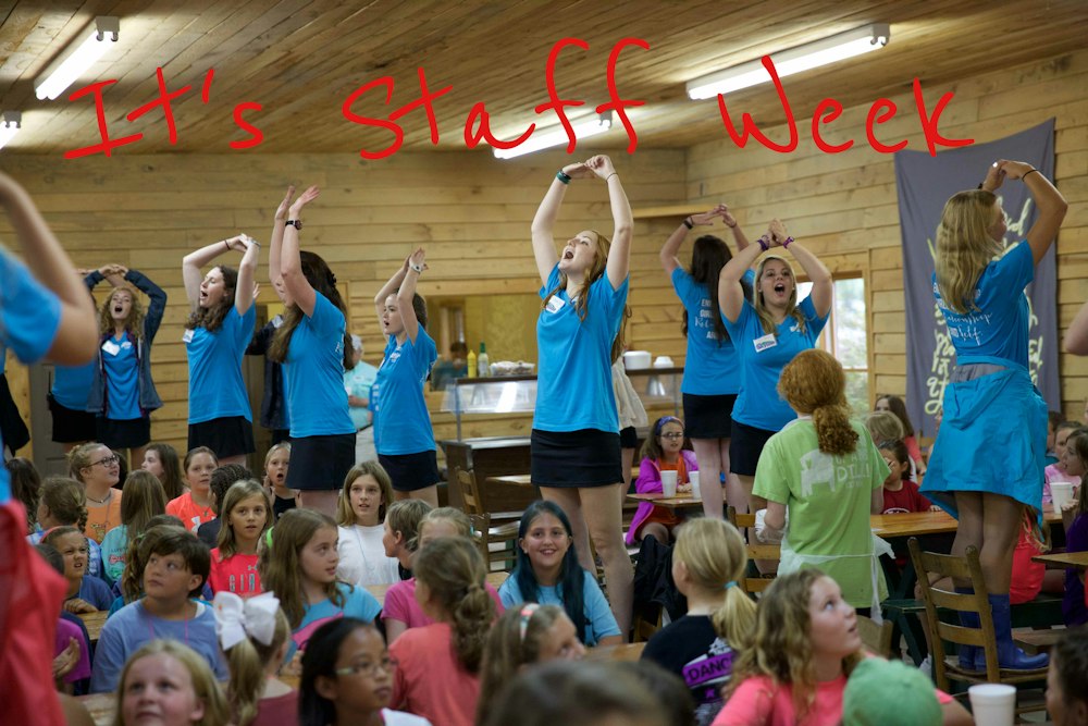 Staff Week!