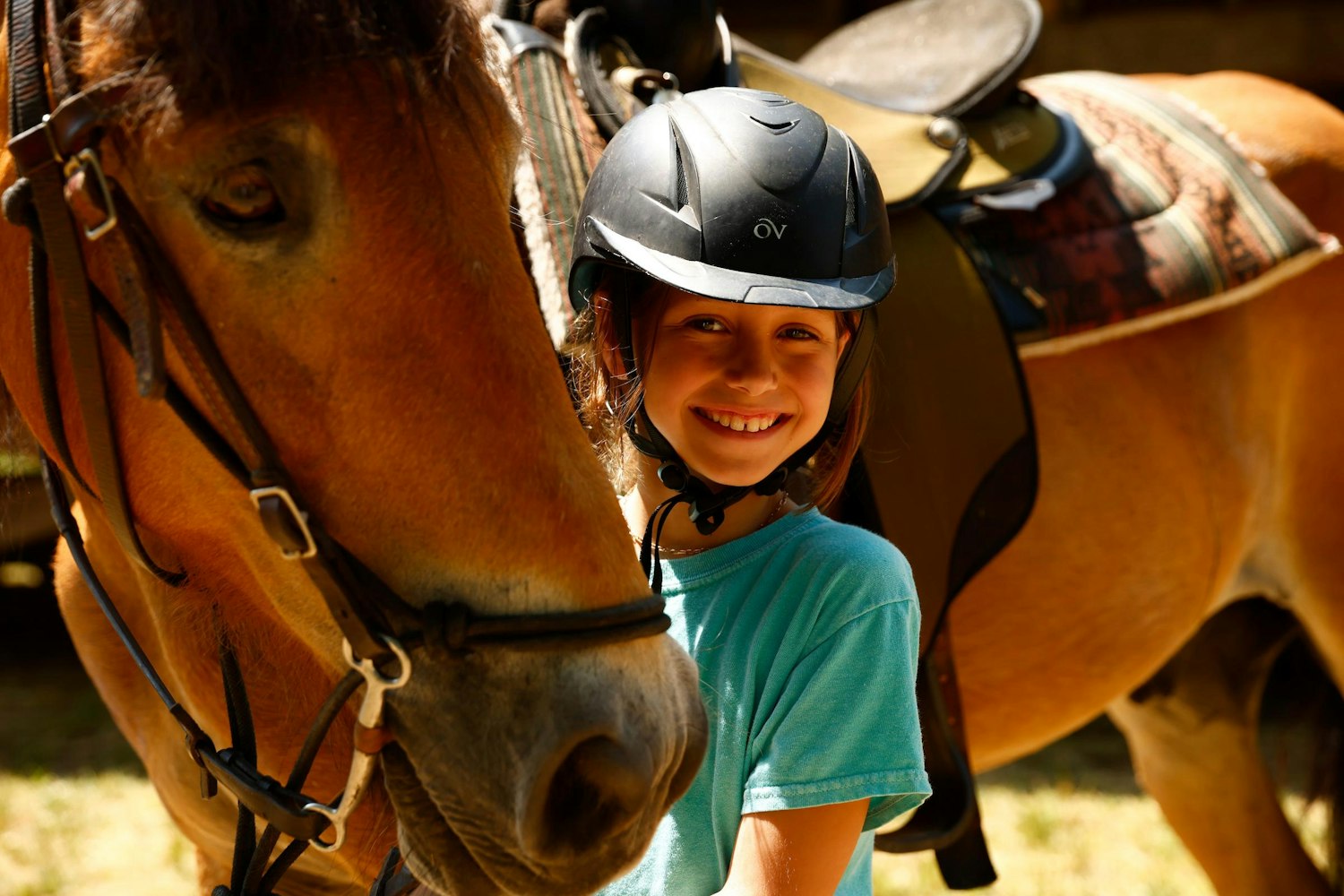 equestrian-jobs-near-you-summer-camp-counselor-jobs-in-nc