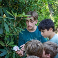 Camps for boys in north carolina   rhododendron   christian sleepaway camp .jpg?ixlib=rails 2.1