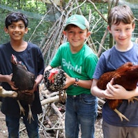 Boys with chickens outdoor summer camp.jpg?ixlib=rails 2.1