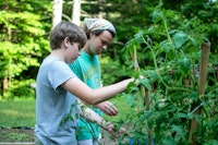 Tomatoes farm program boys summer camp.jpg?ixlib=rails 2.1