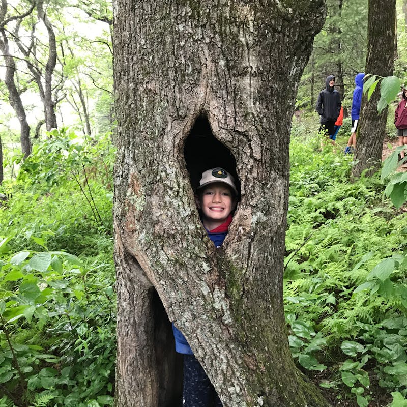 Boys camp camper smiling inside a tree.jpg?ixlib=rails 2.1