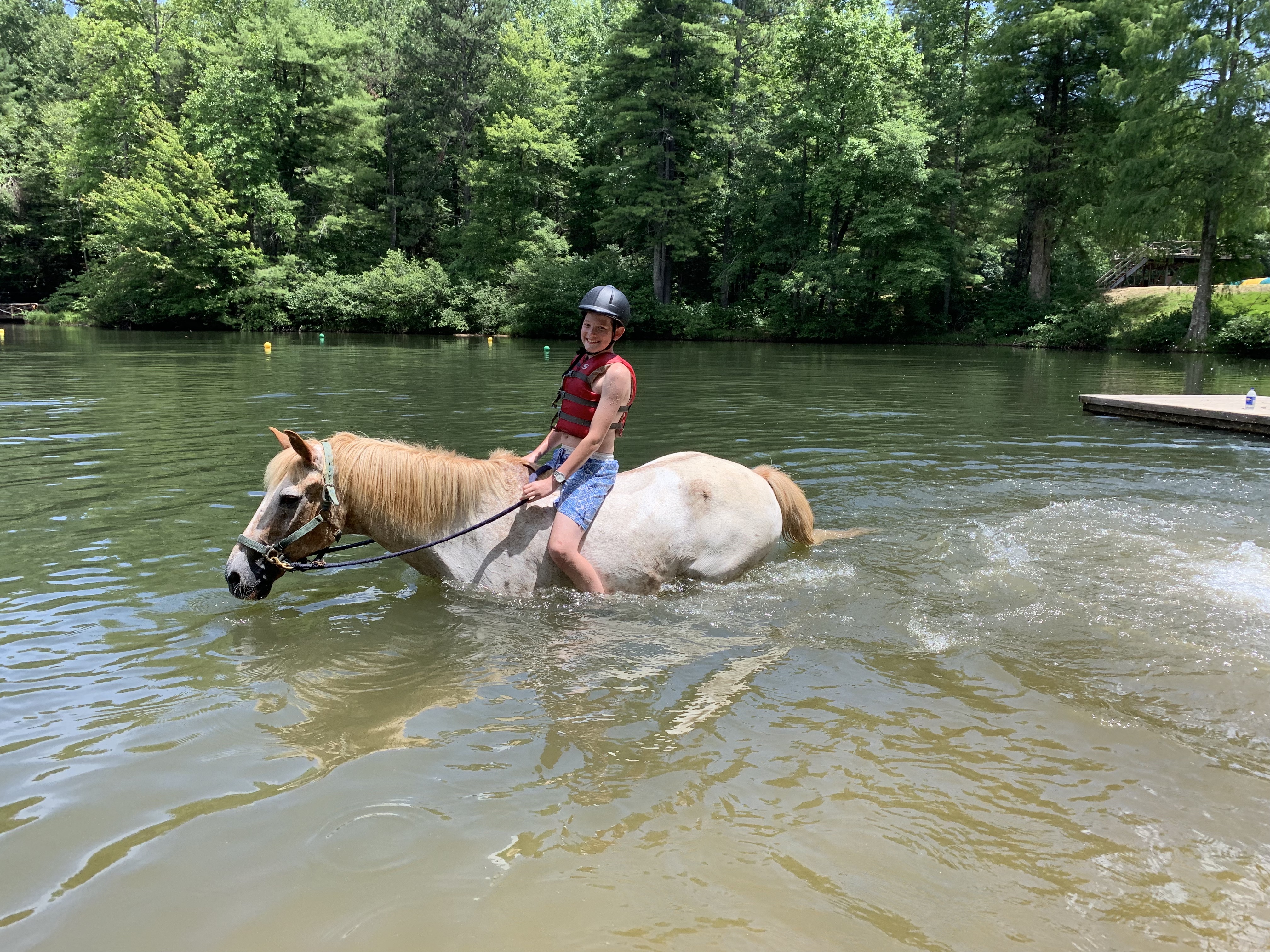 Falling waters hotsell horse camp